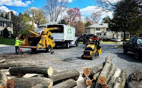 Best Tree Mulching  in Lauderdale Lakes, WI