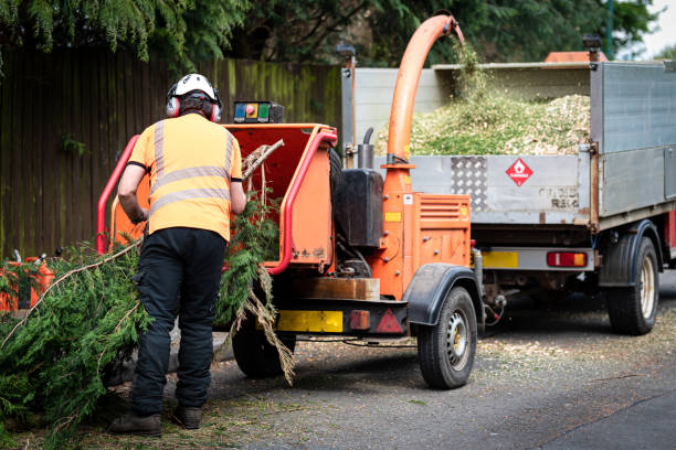 Best Commercial Tree Services  in Lauderdale Lakes, WI