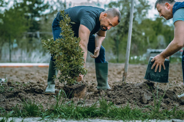 Best Lawn Pest Prevention  in Lauderdale Lakes, WI