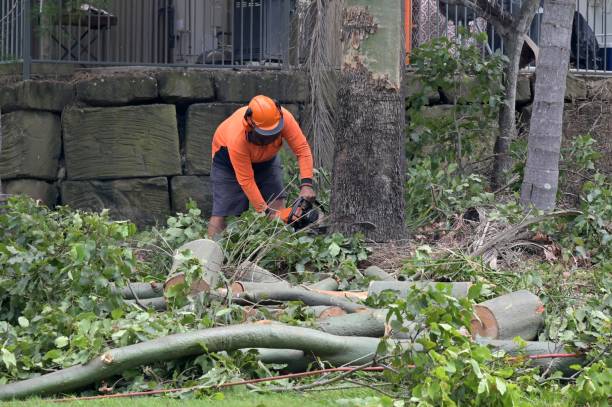 Best Tree Risk Assessment  in Lauderdale Lakes, WI