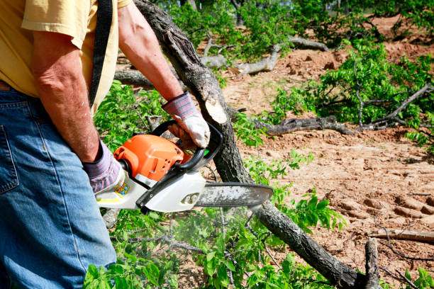 Best Seasonal Cleanup (Spring/Fall)  in Lauderdale Lakes, WI